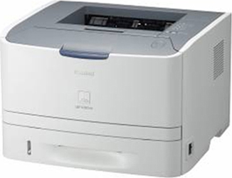 Canon LBP 6300 DN