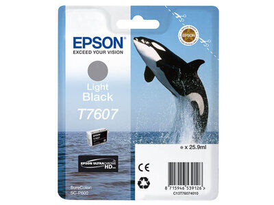 Original Epson C13T76074010 (T7607) Druckerpatrone Light...