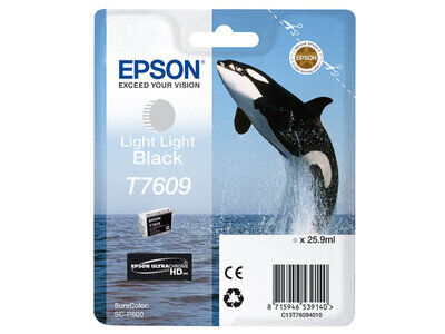 Original Epson C13T76094010 (T7609) Druckerpatrone Light...