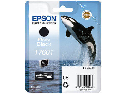 Original Epson C13T76014010 (T7601) Druckerpatrone Photo...
