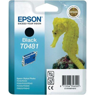 Original Epson T0481 Druckerpatrone Schwarz (13ml)