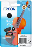 Original Epson 250 C13T16N14010 Schwarz Druckerpatrone (5.3ml, ~240 Seiten)