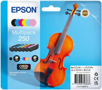 Original Epson 250XL C13T16P84010 Multipack 6 Druckerpatronen BK C M G PC PM